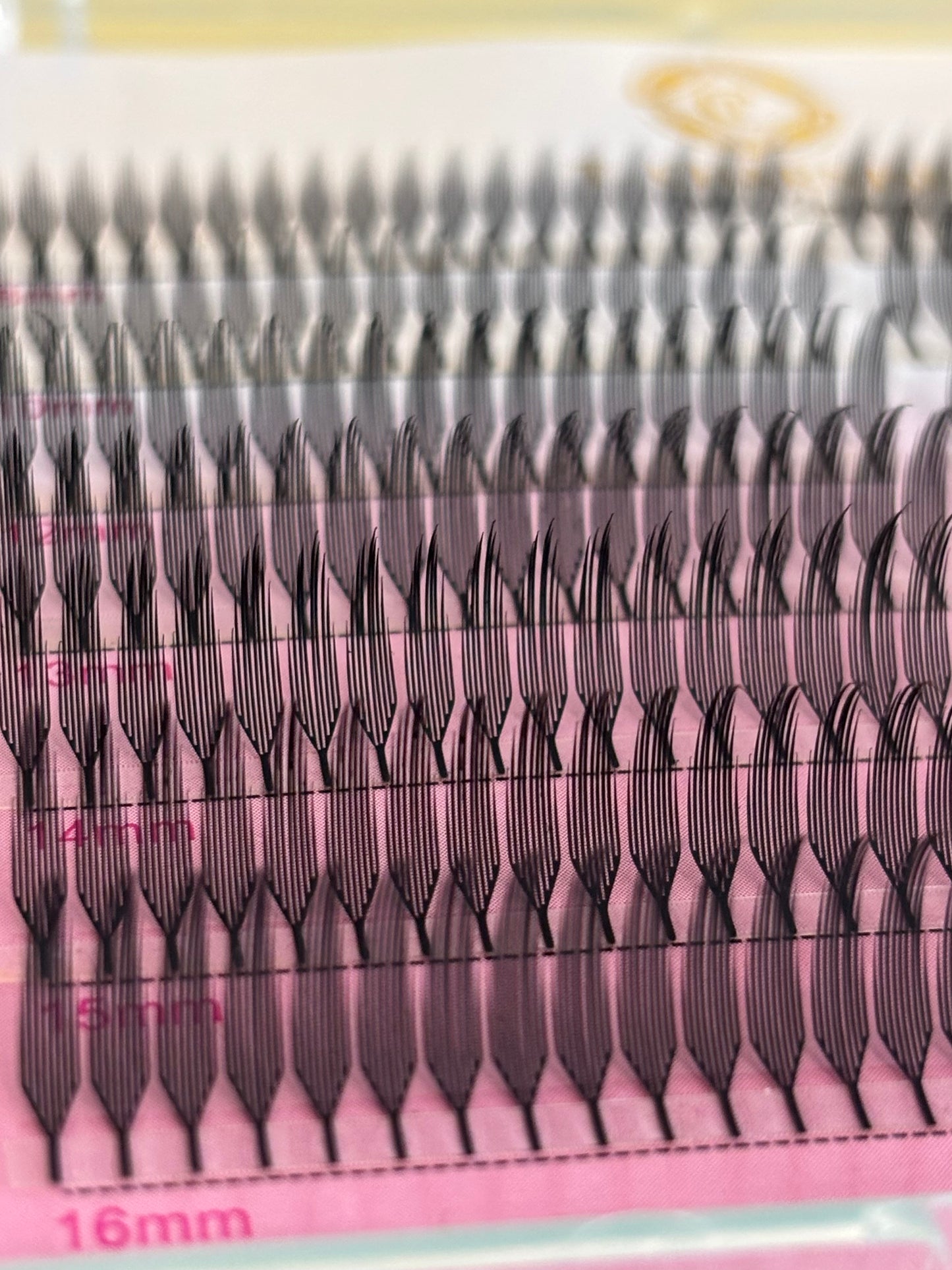 Lotus Lashes